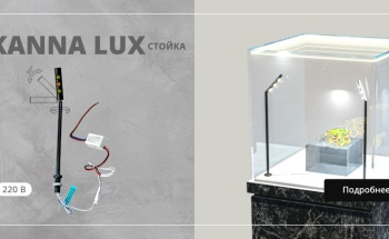 slide_42_kanna-lux