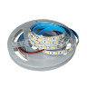 IP20 5050 (60LED/м) CW (6000K), 12В, 14,4Вт/м, 1150Лм  - LED лента 