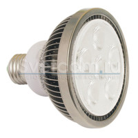 Лампа светодиодная PAR30 (6LED)