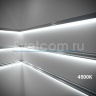 SMD 2835 10Вт/м, 120LED/м, 12В | LED лента S2 5мм x 5м