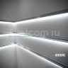 2835, 600LED, 12В, 16Вт/м | LED лента
