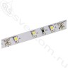 Светодиодная лента SMD 3528 60LED/м (300 LED)