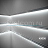 SMD2835  20Вт/м, 240LED/м, 24В, 10мм, IP20  | LED лента G2  